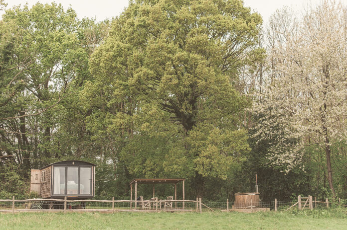 East Sussex Woodland Escape