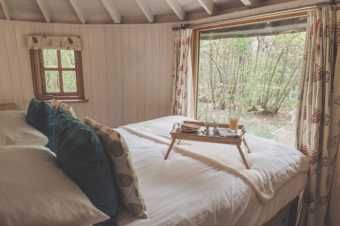 East Sussex Woodland Escape