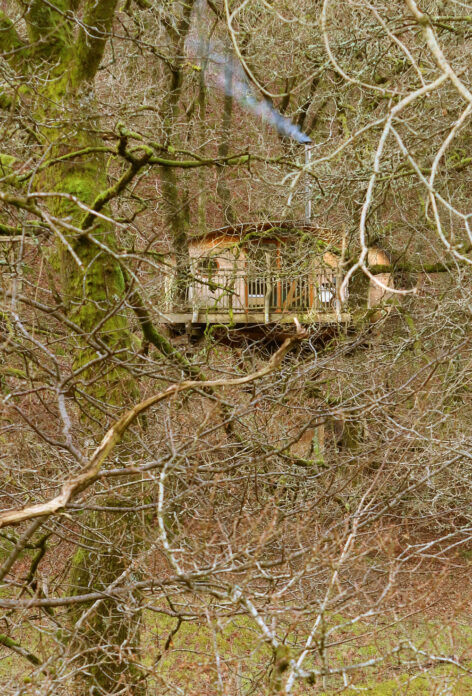 Snowdonia Treehouses - treehouse in woods