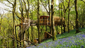 Snowdonia Treehouses