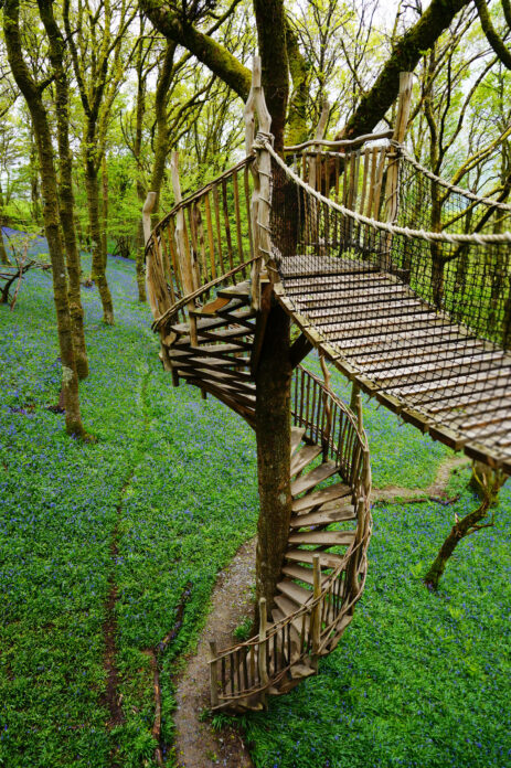 Snowdonia Treehouses - wooden walkway