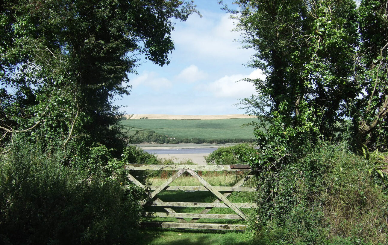 The Camel Trail