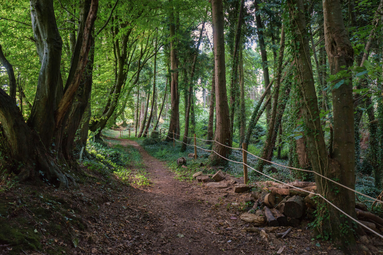 Boutique Glamping Somerset - nearby walk