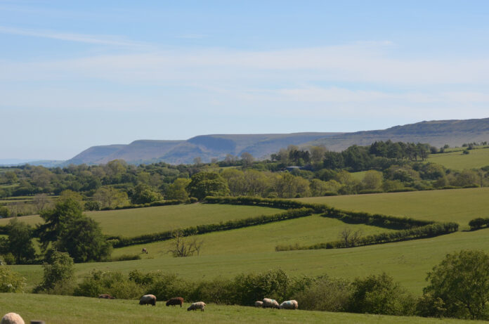 Black Mountains