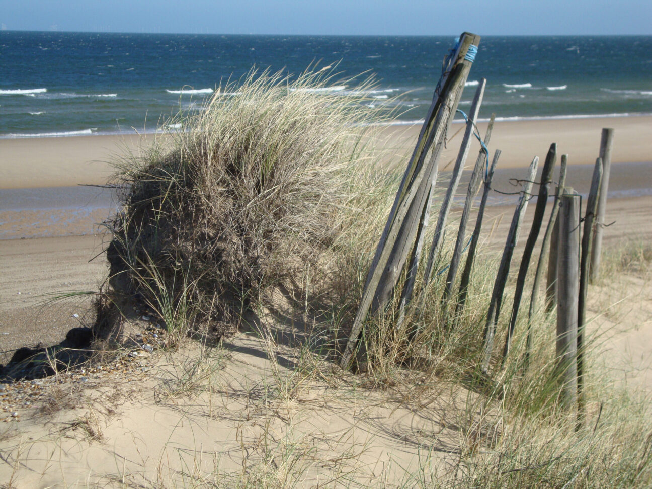 Blakeney Point