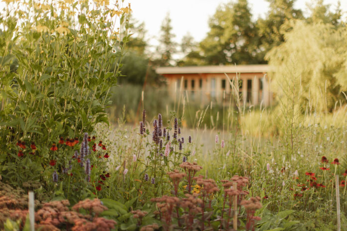 Lake Lodges, Suffolk