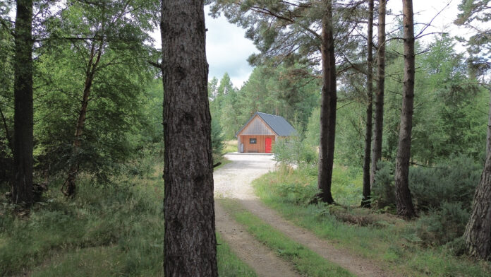 Callie Bothy