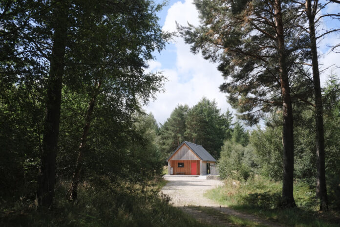 Callie Bothy