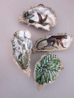 Decopage Wildlife Shells