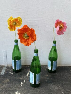 Paper Poppy