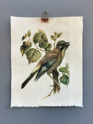 Corvid Prints
