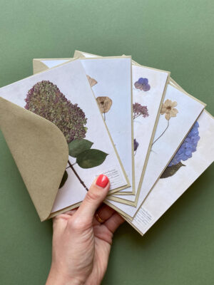 Pressed Flower Cards