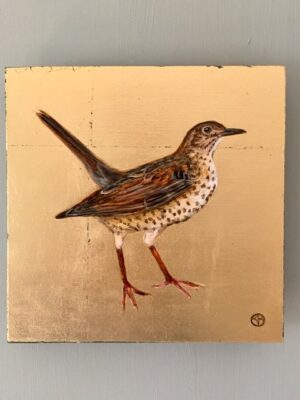 Gold Leaf Mistle Thrush