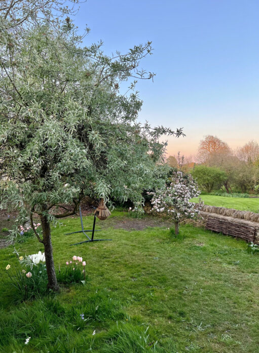 La Campagna, Cotswolds