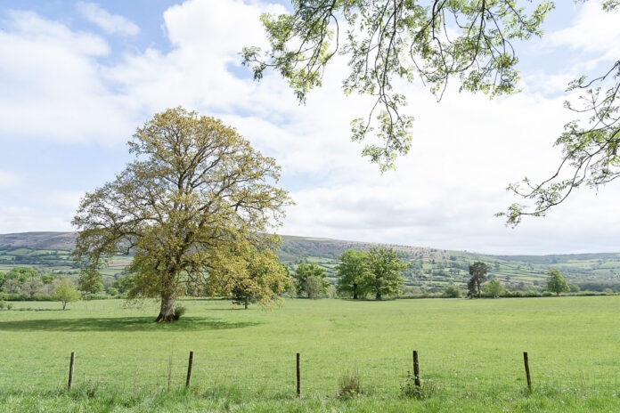 Treberfydd
