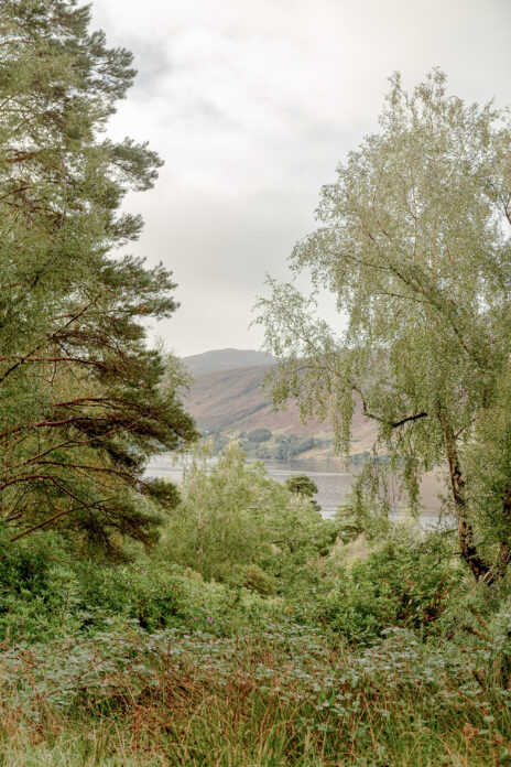 Forest Cabin, Ullapool