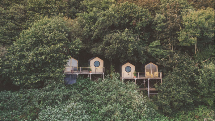 WILDCOMFORT, Devon