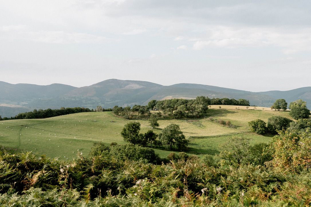 Countryside views surrounding Tarporley Shacks, Cheshire