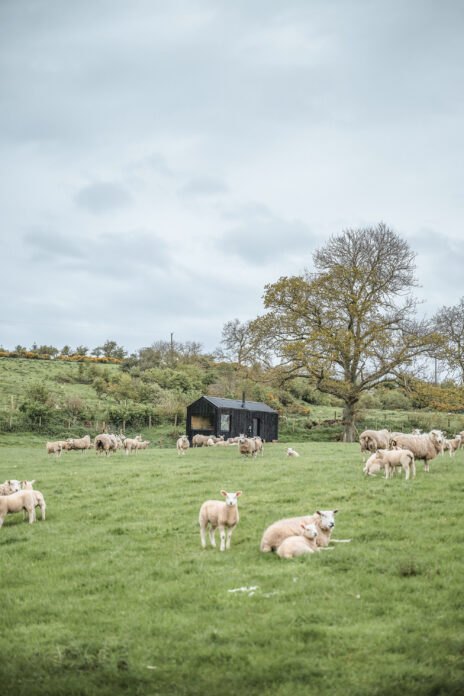 Abergele Shack, North Wales