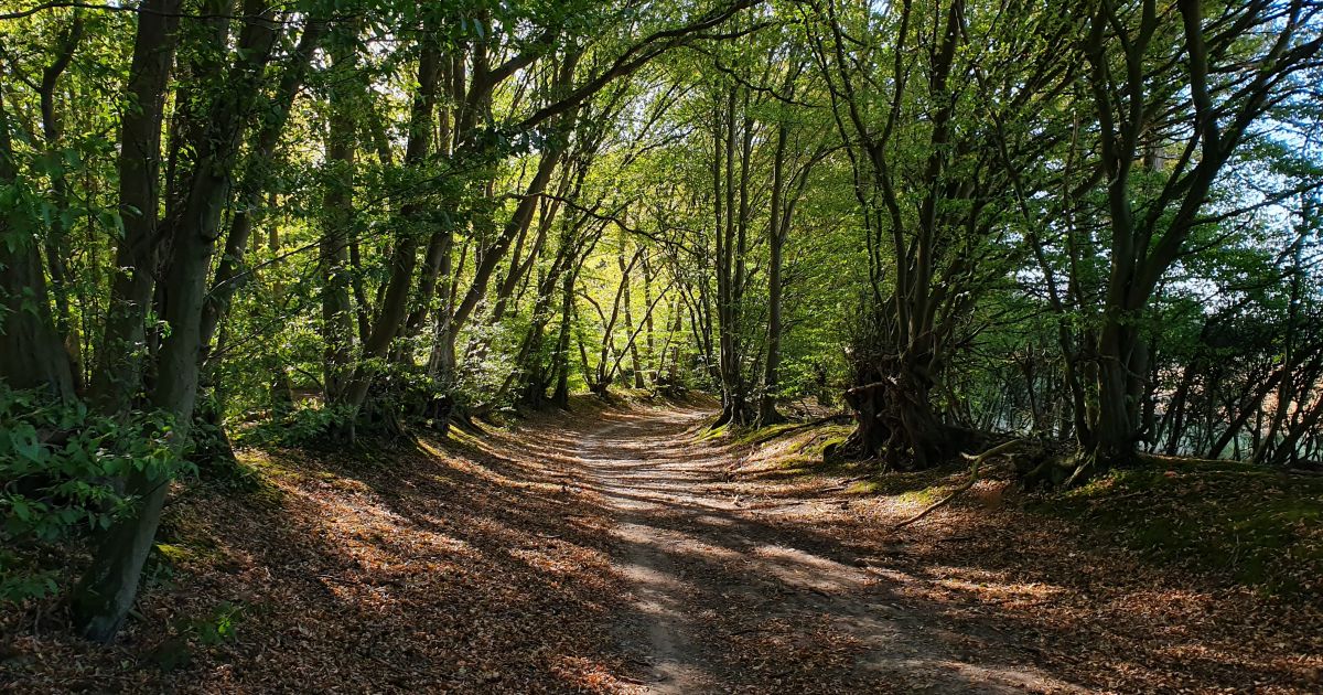 Hanchurch Hills Walk via The Ramblers