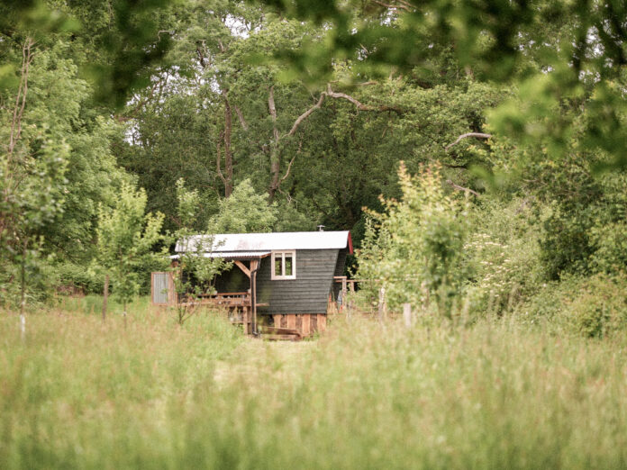 The Wyld, Dorset