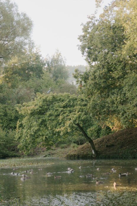 Duck House