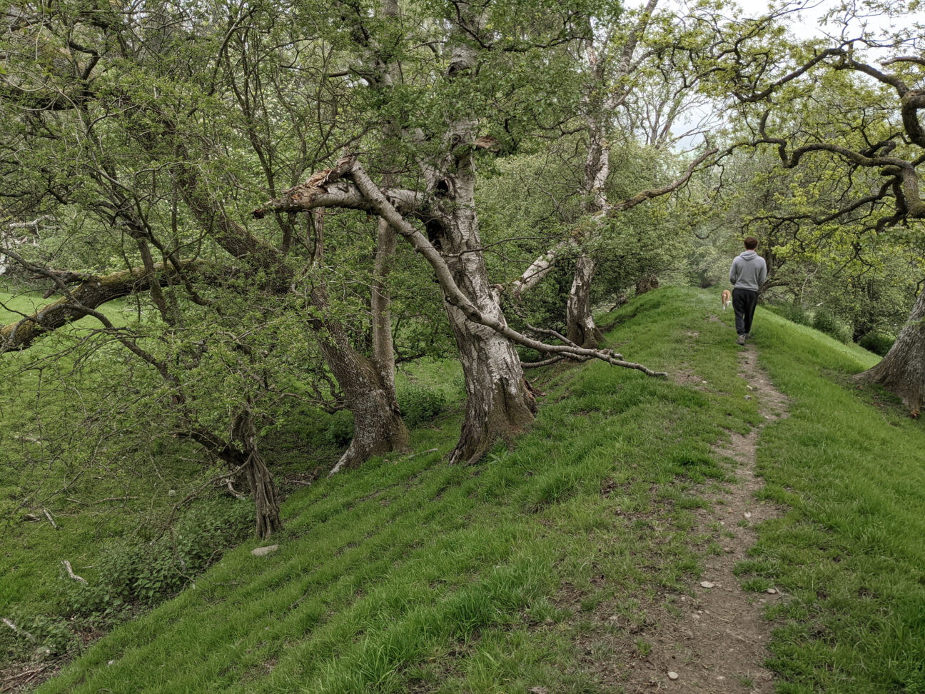 Offa's Dyke path