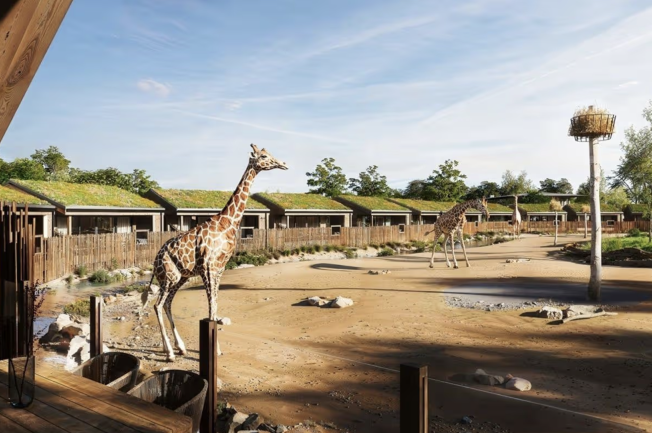 Chester Zoo